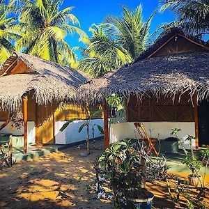 Large Double or Twin Room